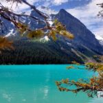Lake Louise, Moraine Lake, Peyto Lake, Crowfoot Tour from Calgary - Practical Considerations