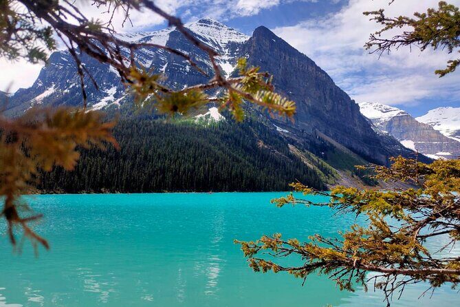 Lake Louise, Moraine Lake, Peyto Lake, Crowfoot Tour from Calgary - Practical Considerations