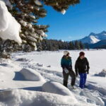 Lake Louise, Peyto Lake, Johnston Canyon & Icefields Parkway - Who Would Love This Tour?