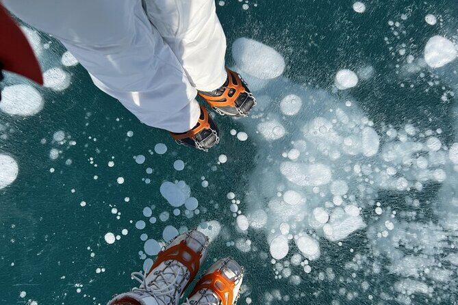 Lake Louise & Snow Fun Day Tour - The Value of the Tour