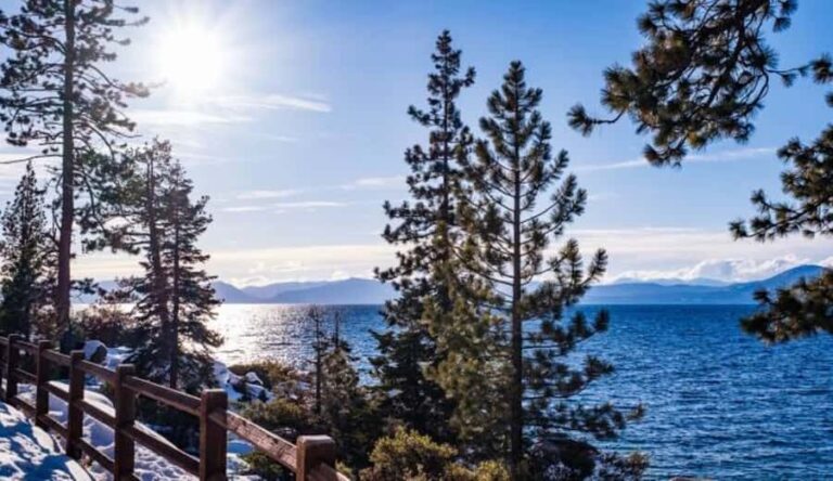 Lake Tahoe: Guided Scenic Bike Experience - Who Should Book This Tour?