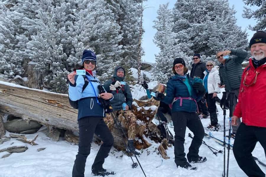 Lake Tahoe: Guided Snowshoe Experience - Summary: Who Will Enjoy This Tour?