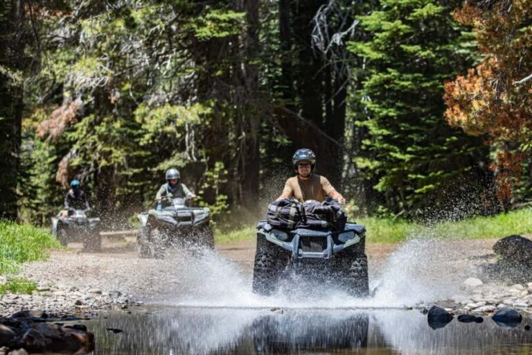 Lake Tahoe: Rubicon Trail Guided Off Road ATV Tour - The Value for the Price