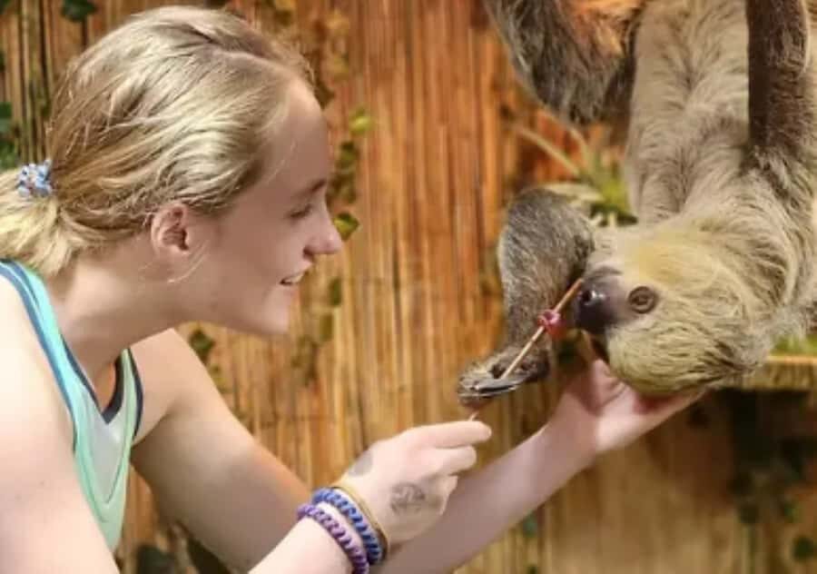 Lamont: Sloth Encounter at North Florida Wildlife Center - Why This Tour Stands Out