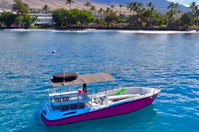 Lana'i Snorkel And Dolphin Quest with Maui Turtle Spot Tour - Why This Tour Is a Good Choice