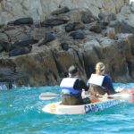 Land's End Snorkel and Kayak Experience! Round Transportation From Los Cabos - Authentic Insights from Travelers