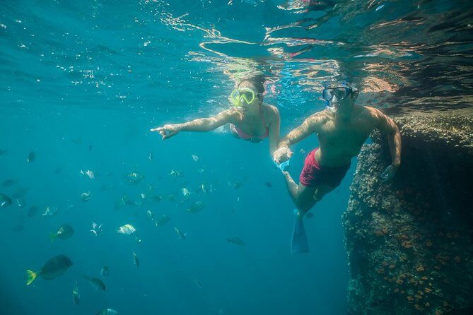 Land's End & Snorkel Tour in a Glass Bottom Boat (VisitA Cabo) - Authentic Feedback from Travelers