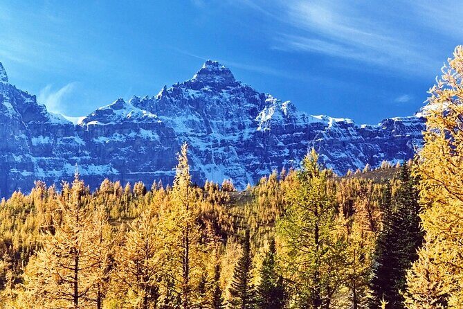 Larch Valley/Moraine Lake Shuttle Transfer from Banff and Canmore - Authentic Traveler Insights