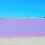 Las Coloradas Amazing Pink Lake & Rio Lagartos from Tulum - The Sum Up: Who Will Appreciate This Tour?