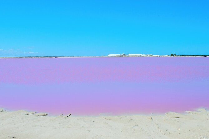 Las Coloradas Amazing Pink Lake & Rio Lagartos from Tulum - The Sum Up: Who Will Appreciate This Tour?