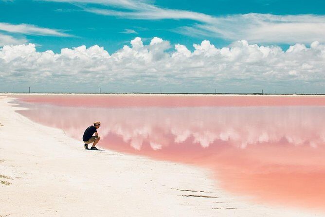 Las Coloradas Exploring Tour - The Value of the Tour: What Travelers Are Saying