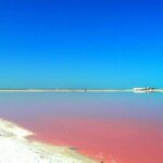 Las Coloradas Natural Pink Lake Tour from Cancun & Riviera Maya - Authentic Experiences and Traveler Perspectives
