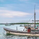 Las Coloradas Pink Lake & Rio Lagartos Guided Tour - The Experience: What You’ll Feel on the Day