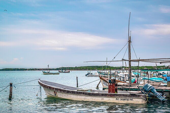 Las Coloradas Pink Lake & Rio Lagartos Guided Tour - The Experience: What You’ll Feel on the Day