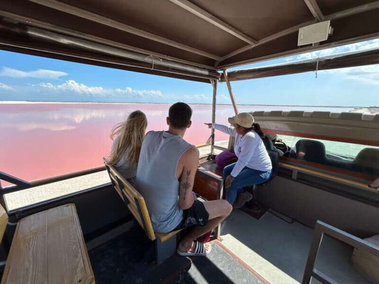 Las Coloradas: Pink Lakes Safari Tour - Practical Details and Considerations