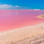 Las Coloradas & Rio Lagartos, Beautiful Eco Adventure from Tulum City - The Experience Through the Eyes of Travelers