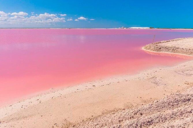 Las Coloradas & Rio Lagartos, Beautiful Eco Adventure from Tulum City - The Experience Through the Eyes of Travelers