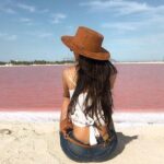 Las Coloradas & Rio Lagartos Tour from Cancún - The Practicalities: Logistics and Value