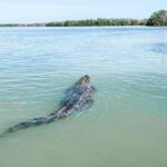 Las Coloradas & Río Lagartos with boat & Lunch from Mérida - Authenticity and Traveler Experiences