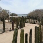 Las Labradas Archaeological Site - Nature and History Tour - The Overall Experience and Who Will Love It