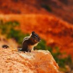 Las Vegas: Antelope Canyon, Bryce, Zion, Horseshoe Bend Tour - Transportation and Group Size: Why It Matters