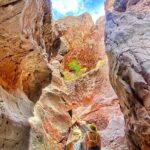 Las Vegas: Arizona Hot Springs Hike with Certified Hiking Guide - The Itinerary: Every Step Counts