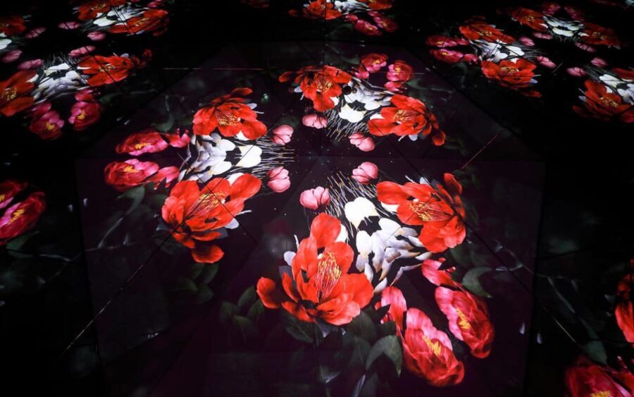 Las Vegas: Arte Museum Las Vegas Immersive Art Exhibition - Analyzing the Value: Is It Worth It?