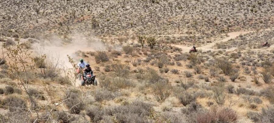 Las Vegas ATV Tours - Wildlife and Scenic Highlights