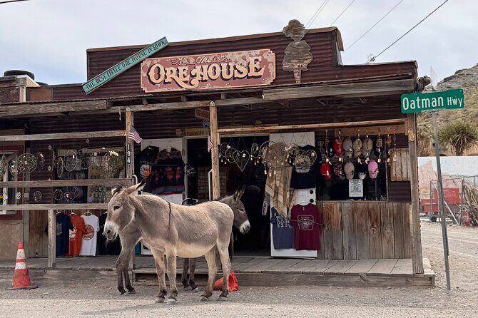 Las Vegas Ghost Town Tour and Historic Route 66 - FAQ