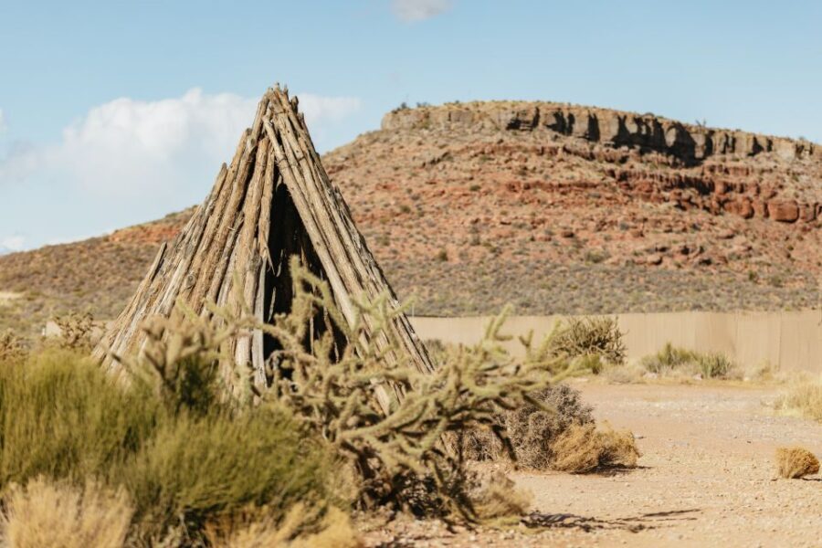 Las Vegas: Grand Canyon West Rim VIP Luxury Small Group Tour - What the Reviews Say