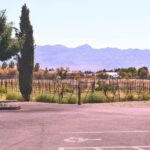 Las Vegas / Pahrump Wine Tasting Tour and snacks - A Closer Look at the Pahrump Wine Tasting Tour