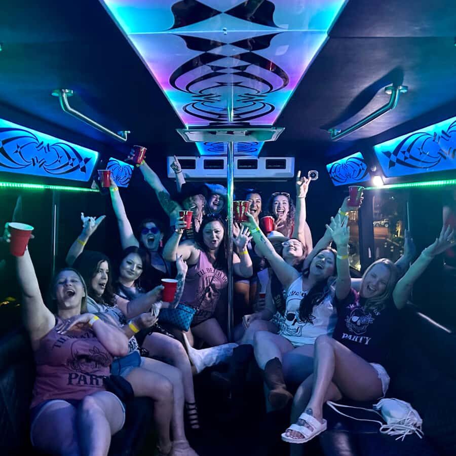 Las Vegas: Private Karaoke Party Bus Tour of The Strip - Setting the Scene: What to Expect on the Karaoke Bus Tour