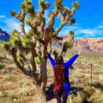 Las Vegas: Private Red Rock Canyon Guided Driving Adventure - The Value of a Private Guided Tour