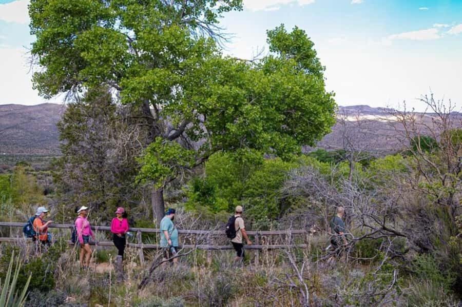 Las Vegas: Spring Mountain Ranch Hike & Happy Hour - Why This Tour Is Worth Considering
