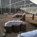 Las Vegas: Standard Impact Paintball Adventure - Practical Details for Your Visit