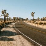 Las Vegas to Los Angeles One Way Tour via Joshua Tree NP - Is This Tour Worth It?