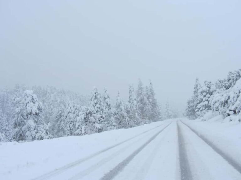 Las Vegas: Ultimate Snowplay Adventure at Mount Charleston - Arriving at Mount Charleston