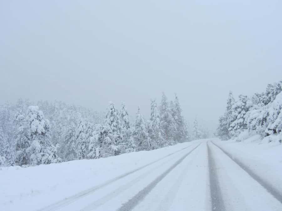 Las Vegas: Ultimate Snowplay Adventure at Mount Charleston - Arriving at Mount Charleston