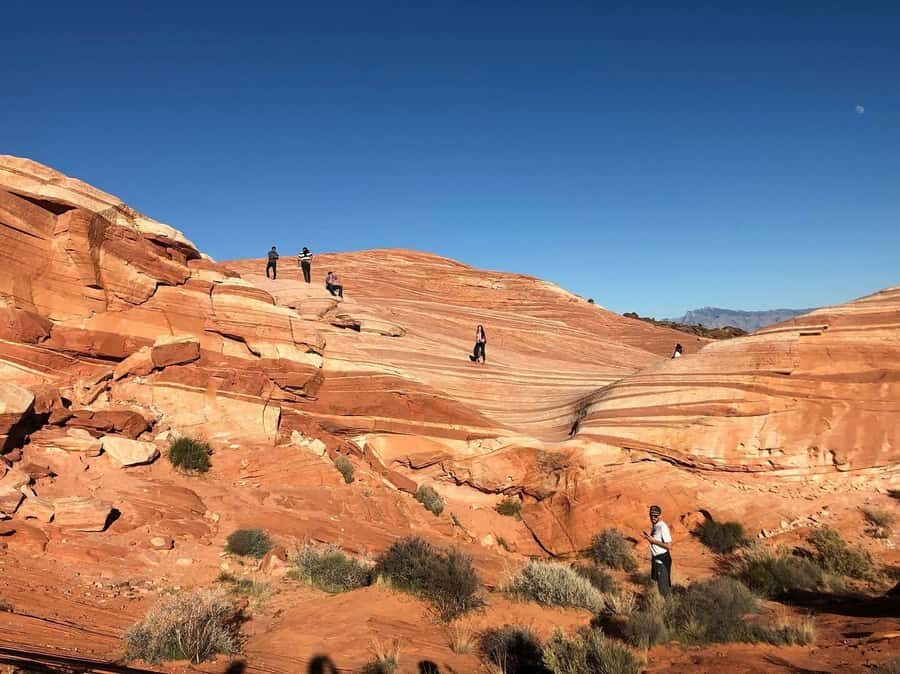 Las Vegas: Valley of Fire Half-Day Guided Hike with Pickup - What Makes This Tour Stand Out?