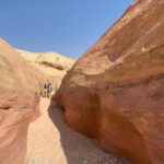 Las Vegas: Valley of Fire Small Group Tour - What Makes This Tour Stand Out?