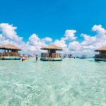 Last Chance TAILFINS TIKIS 2 Hour Crab Island Tiki Tour - Final Thoughts: Is It Worth It?