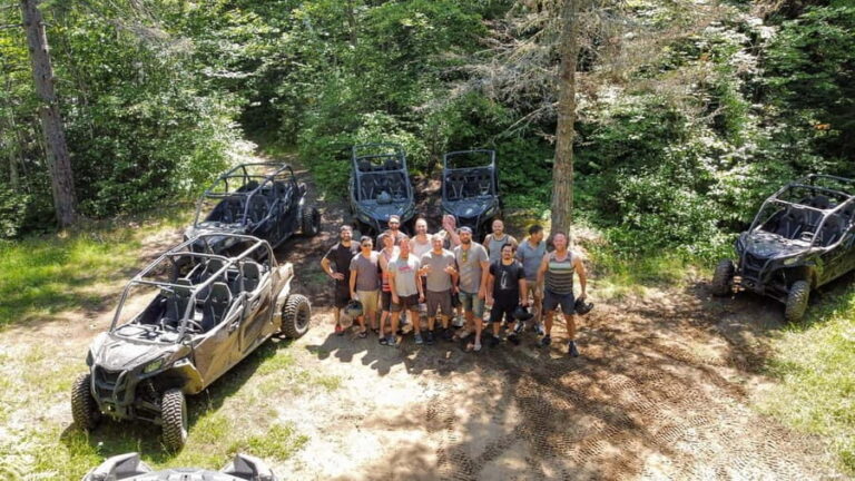 Laurentians: guided buggy tour - The Ride: Forest Trails and Scenic Stops