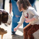 Lavender Farm U-Pick Day Pass - Why It Works for Travelers
