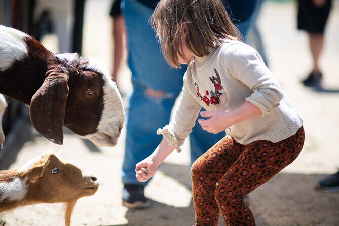 Lavender Farm U-Pick Day Pass - Why It Works for Travelers
