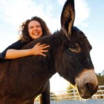 Leadership & Mindfulness Retreat with Horses - Individual & Group - The Practical Breakdown