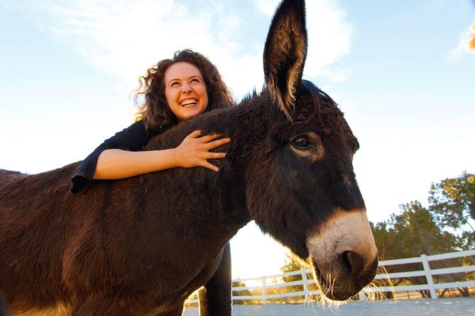 Leadership & Mindfulness Retreat with Horses - Individual & Group - The Practical Breakdown
