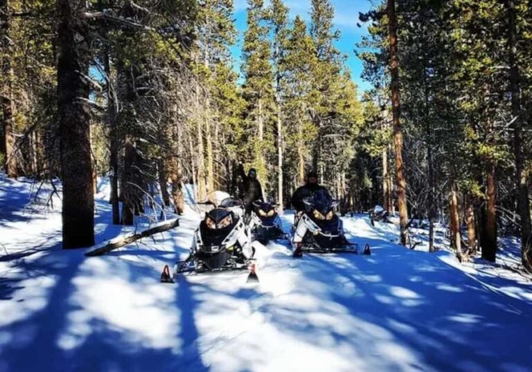 Leadville: Guided Snowmobile Tour - What’s Included and What to Bring