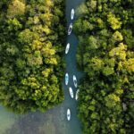 Learn Paddle Board and Explore the Mangroves of Progreso - The Practicalities: What’s Included and What to Consider