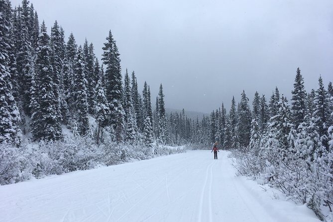 Learn to Cross Country Ski in Lake Louise - The Sum Up