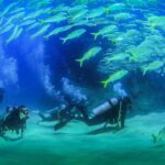 Learn to Scuba Dive in Cabo San Lucas with PADI - What the Itinerary Looks Like